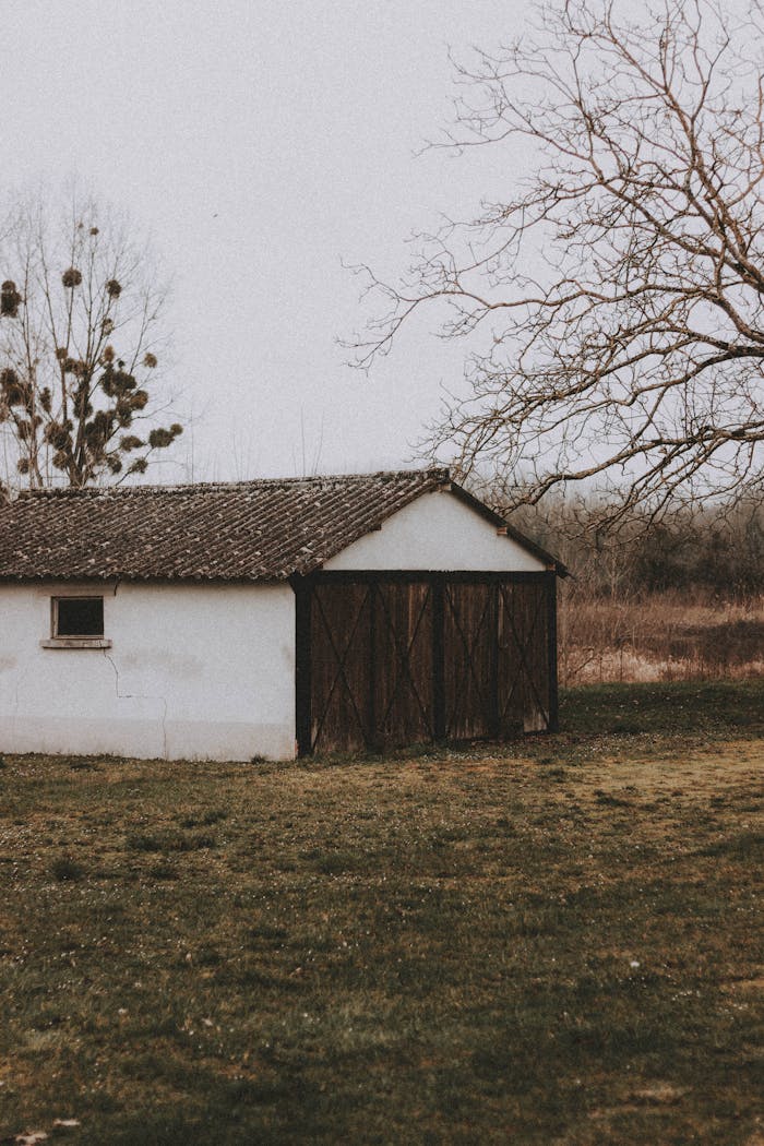 Small barn on grassy meadow in countryside